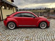 Volkswagen Beetle - 8