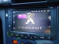 Peugeot 3008 - 16