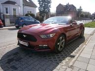 Ford Mustang - 11