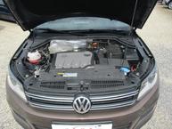 Volkswagen Tiguan - 19
